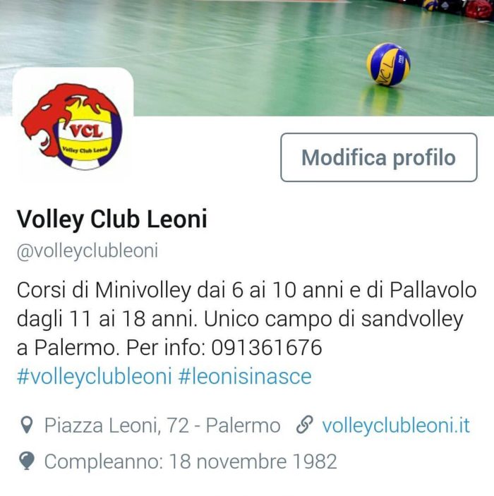 Siamo anche su Twitter: @volleyclubleoni